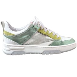 Chita 11384 Multicouleur