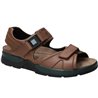 Shark Marron moyen cuir