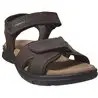 Sanders basics Marron foncé cuir