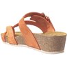Ipome Orange