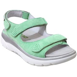 Norine Vert