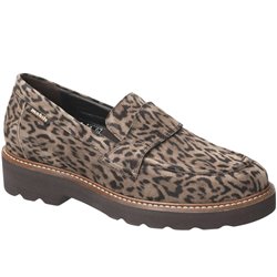Ocea leopard