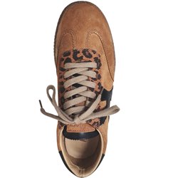 Caille Marron