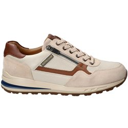 Bradley Beige