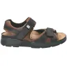 Shark Fit Marron