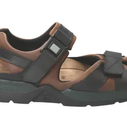 Shark Fit Marron