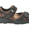 Shark Fit Marron