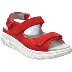 Norine Orange
