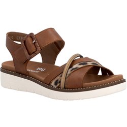 D2043 Marron