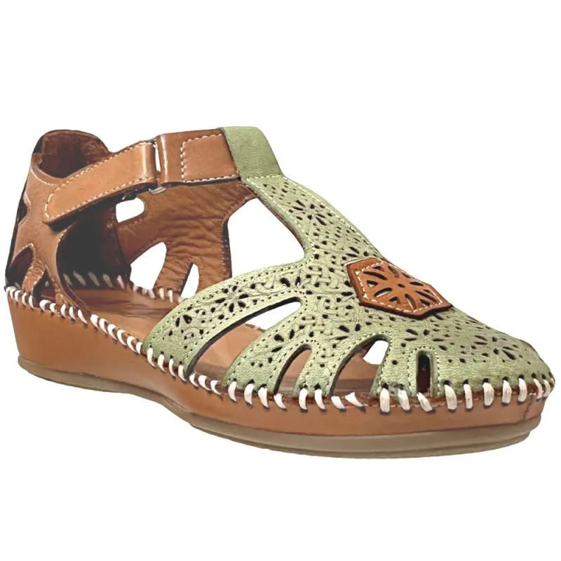 Ekara Kaki