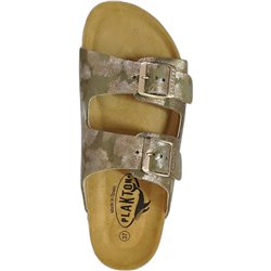 Beta Kaki