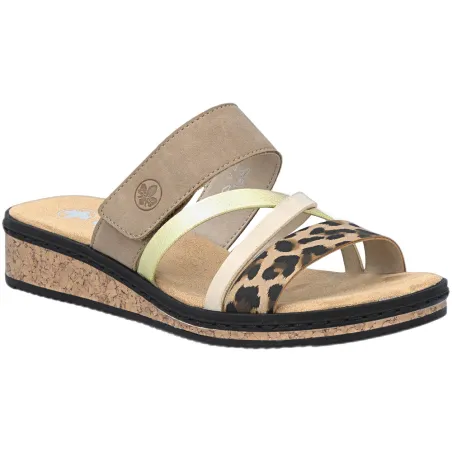 V3652 Beige
