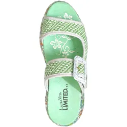Nikito 17 Vert