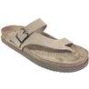 NIELS Beige velours