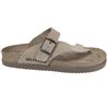 NIELS Beige velours