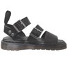 Gryphon Noir cuir